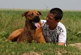 ENFANT ET CHIEN 366